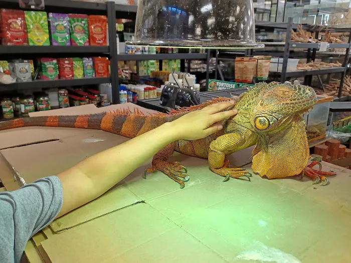 Reptile Island 3 Picture 4