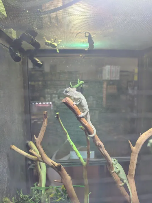 Reptile Island 3 Picture 3