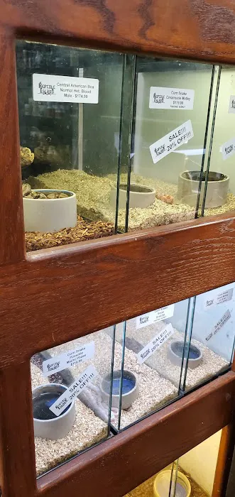 Reptile Island 3 Picture 1