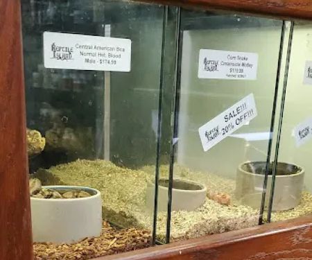Reptile Island 3