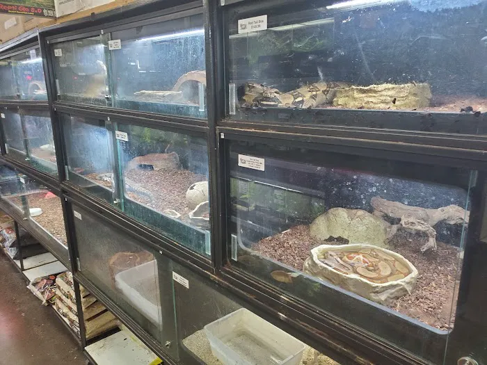Reptile Island 3 Picture 7
