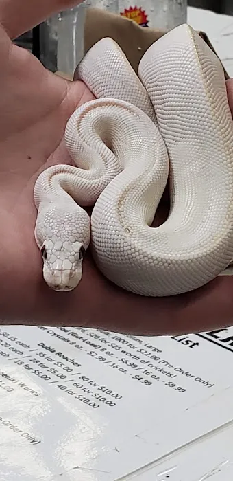 Reptile Island 3 Picture 8
