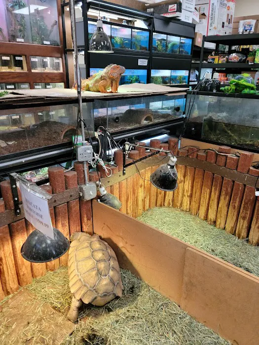 Reptile Island 3 Picture 6