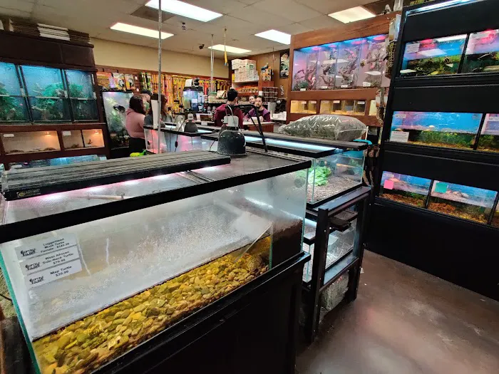Reptile Island 3 Picture 5