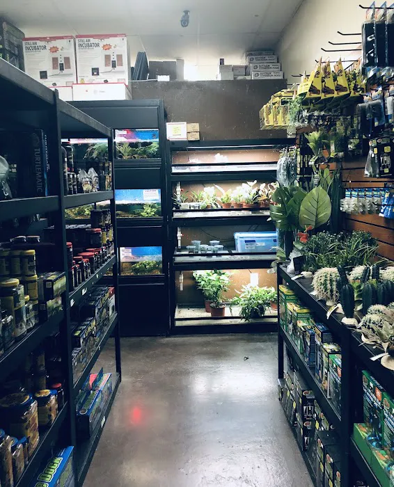 Reptile Island 3 Picture 10
