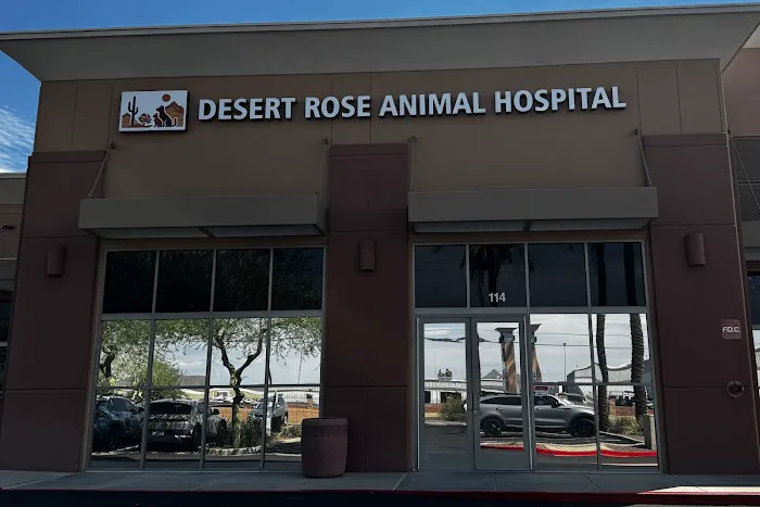 Desert Rose Animal Hospital Picture 4