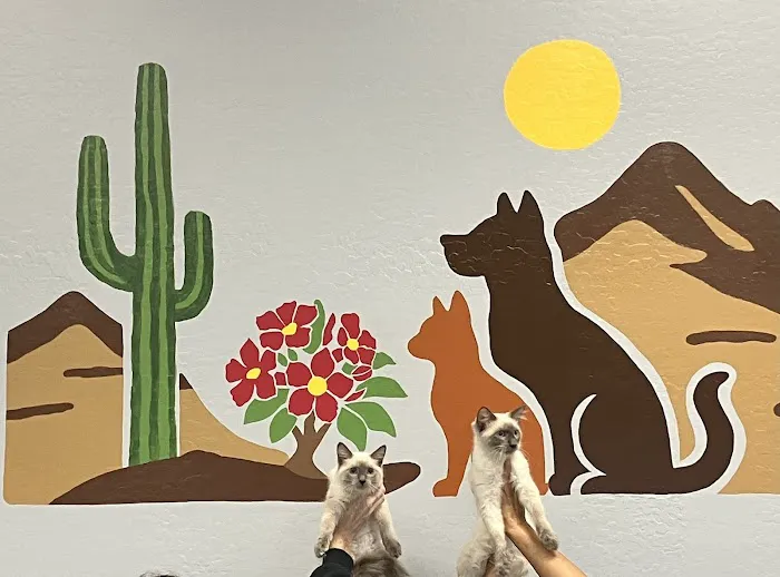 Desert Rose Animal Hospital Picture 1