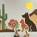 Desert Rose Animal Hospital