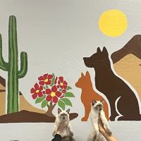 Desert Rose Animal Hospital ico