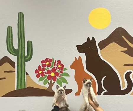 Desert Rose Animal Hospital