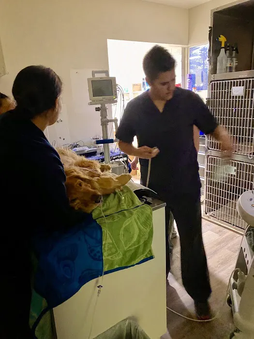 Desert Rose Animal Hospital Picture 2