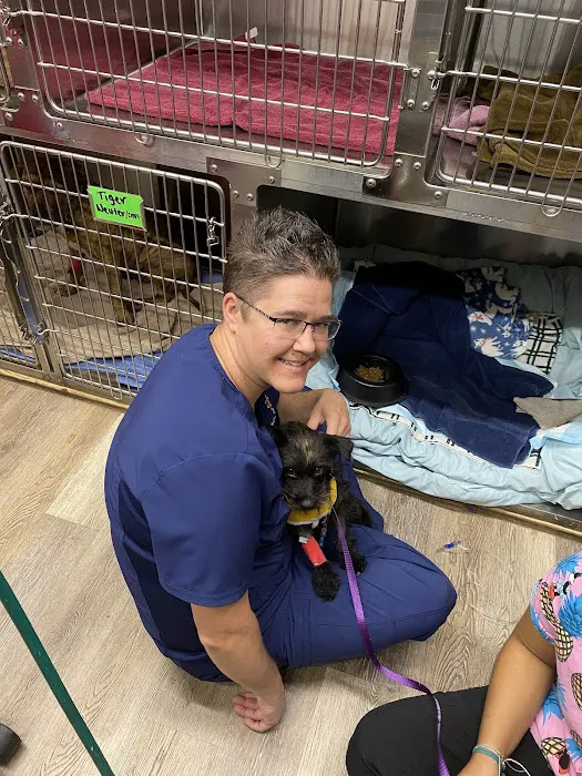 Desert Rose Animal Hospital Picture 6