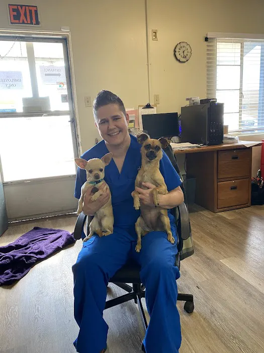 Desert Rose Animal Hospital Picture 9