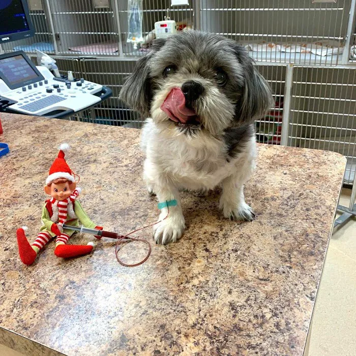 Animal Medical Center of Deer Valley Picture 4