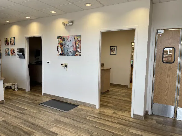 Animal Medical Center of Deer Valley Picture 6