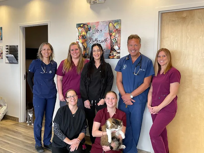 Animal Medical Center of Deer Valley Picture 9