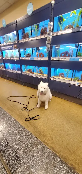 Petco Picture 6