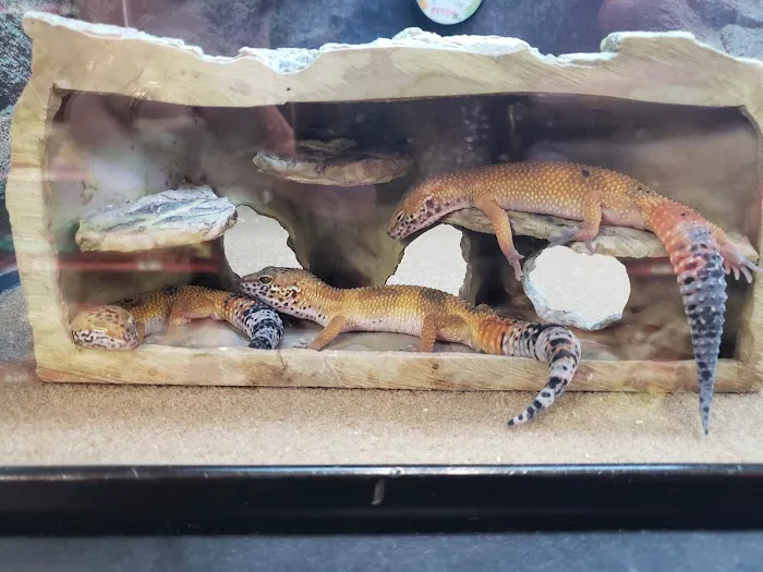 Petco Picture 5