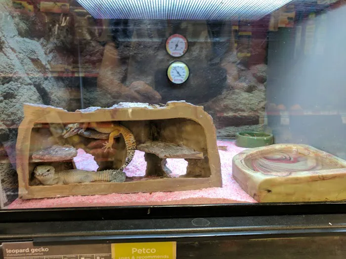 Petco Picture 8