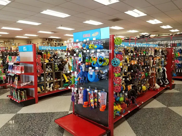 Petco Picture 10
