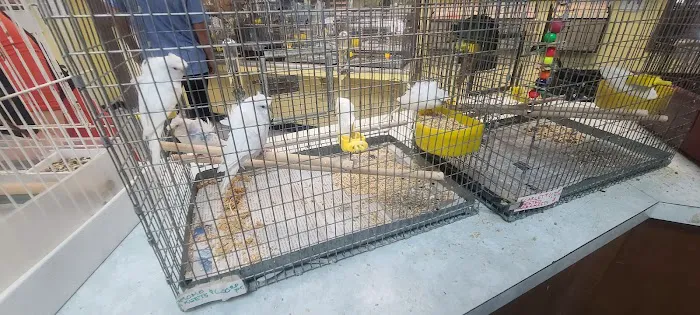 Magnolia Bird Farm Picture 1