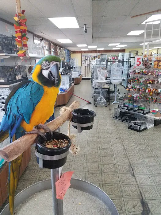 Magnolia Bird Farm Picture 2