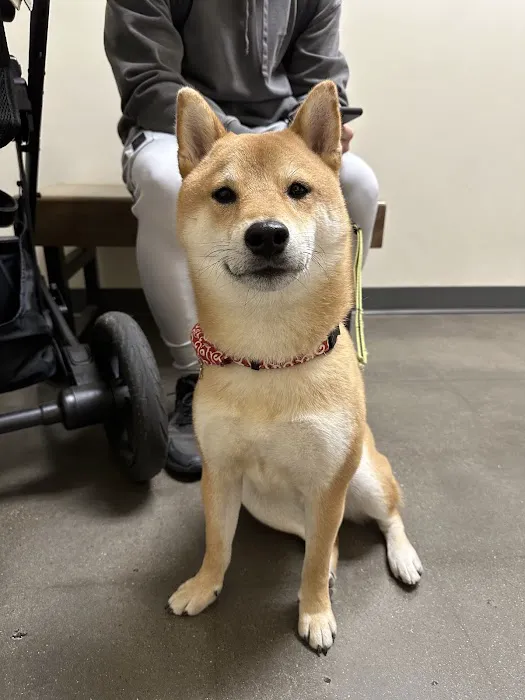 Vetco Total Care Animal Hospital Picture 3