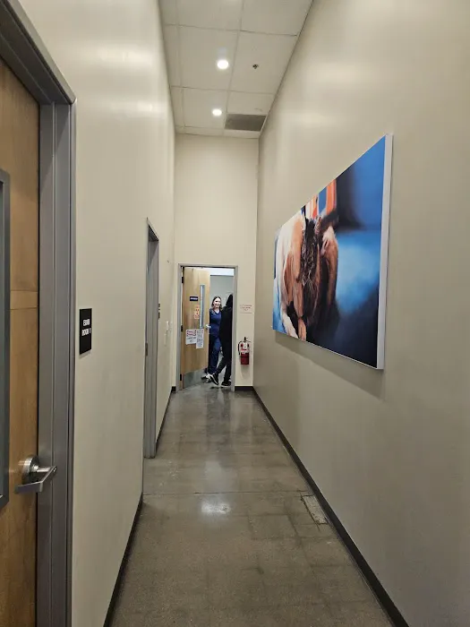 Vetco Total Care Animal Hospital Picture 5