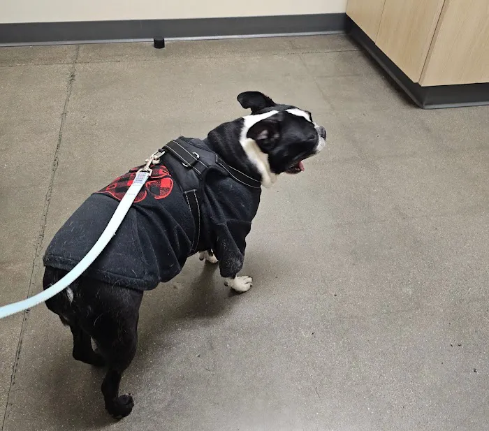 Vetco Total Care Animal Hospital Picture 10