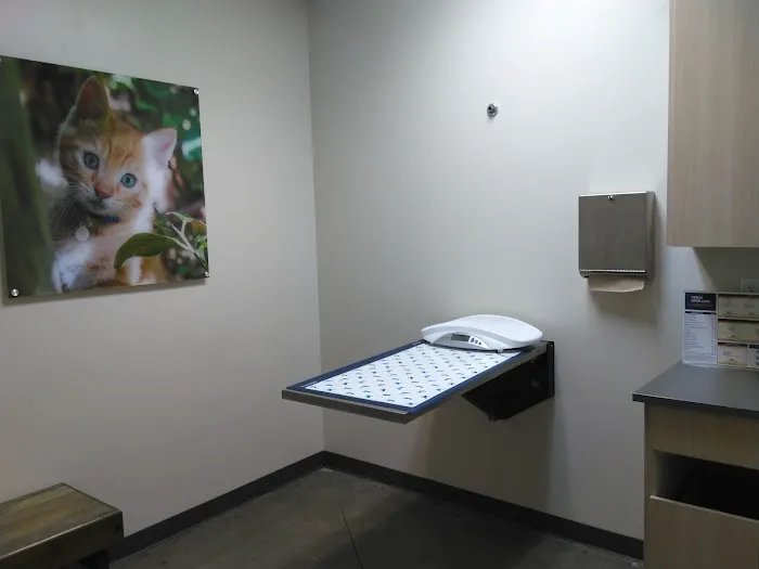 Vetco Total Care Animal Hospital Picture 8