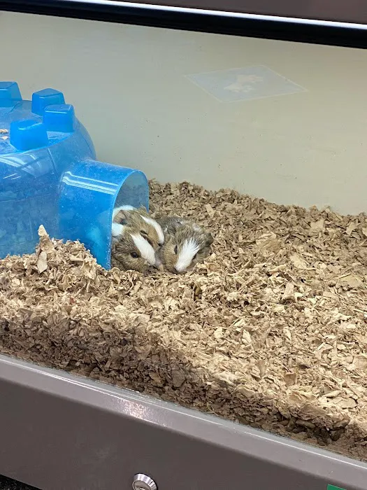 Pet Supplies Plus Long Beach-Los Altos Picture 2