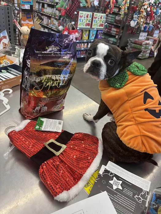 Pet Supplies Plus Long Beach-Los Altos Picture 9