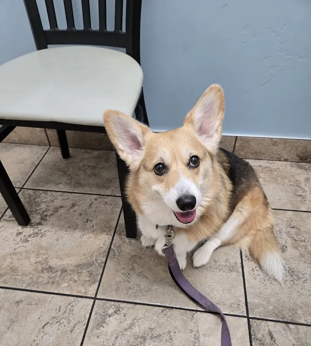 Lovet Pet Health Care - Norterra Picture 1