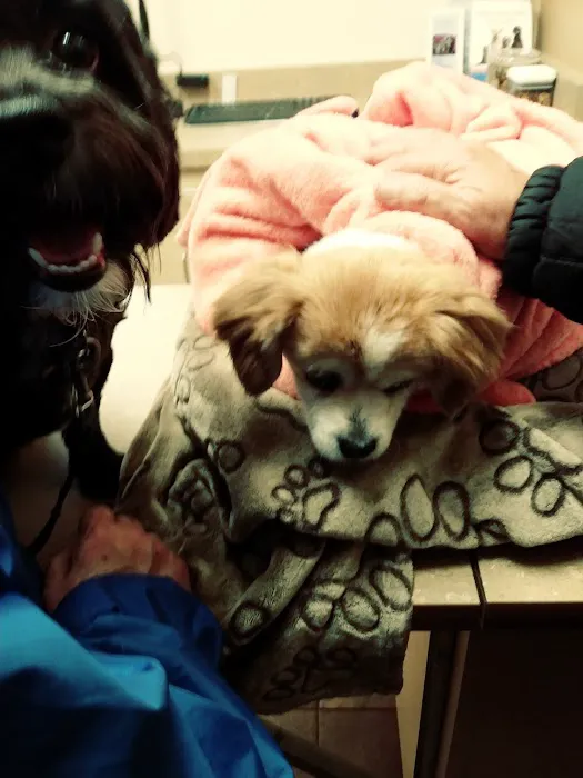 Lovet Pet Health Care - Norterra Picture 8