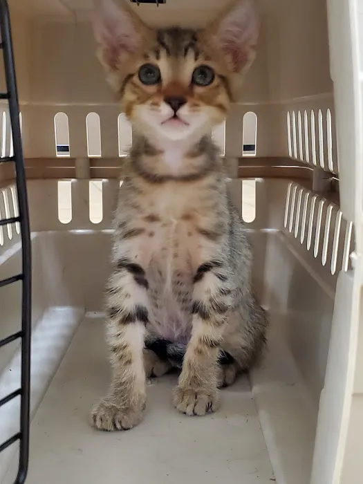 Unleashed by Petco Picture 1