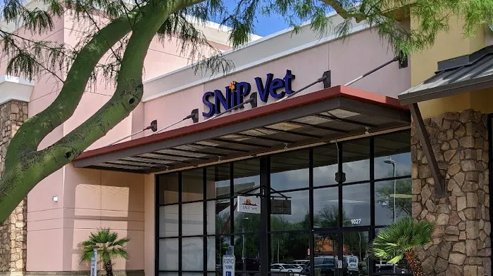 SNiP Vet - Spay Neuter in Phoenix Picture 4