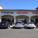 Stetson Hills Animal Hospital