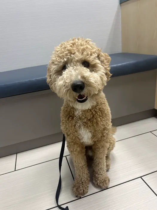 Stetson Hills Animal Hospital Picture 2