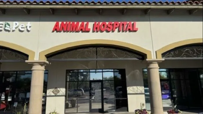 Stetson Hills Animal Hospital Picture 6