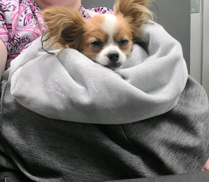 Stetson Hills Animal Hospital Picture 8