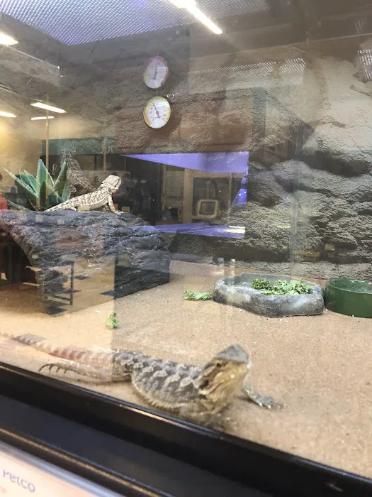 Petco Picture 8