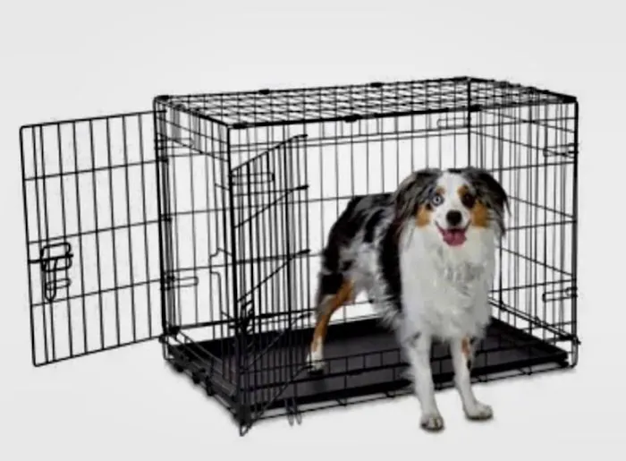 Pet vip stores & services Picture 9