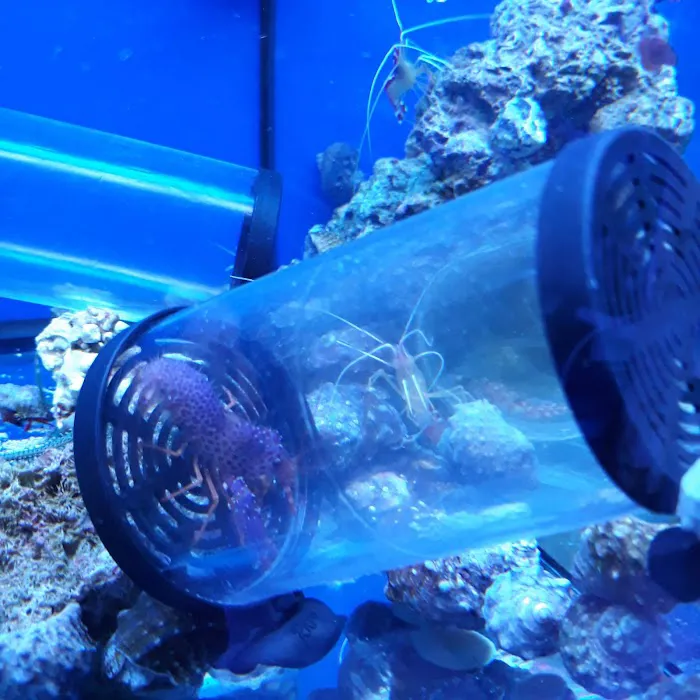 Vivid Aquariums Inc Picture 4