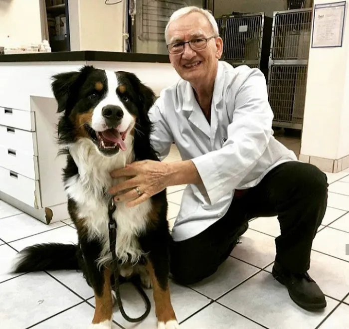 Chandler Small Animal Clinic Picture 9