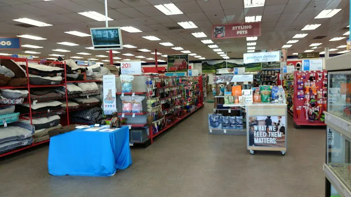 Petco Picture 2