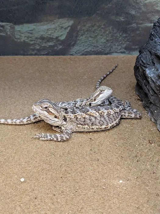 Petco Picture 7