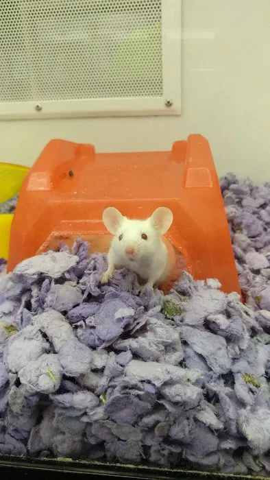 Petco Picture 5