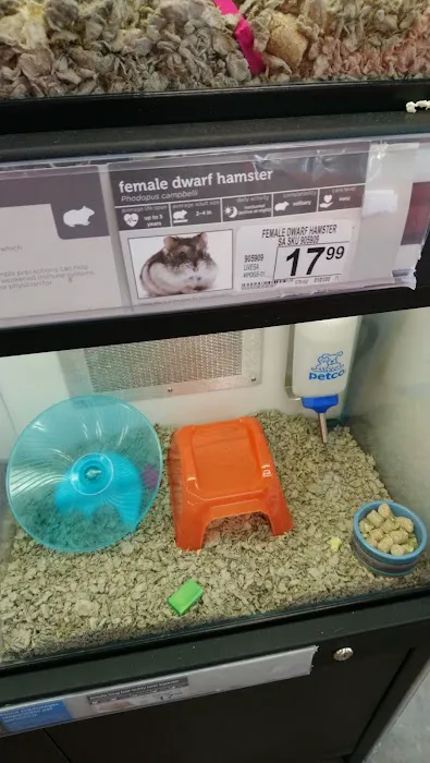 Petco Picture 9