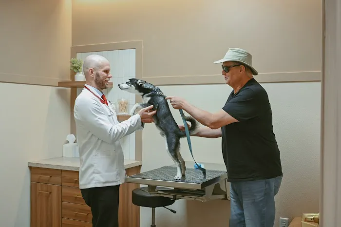 GoodVets Chandler Picture 4