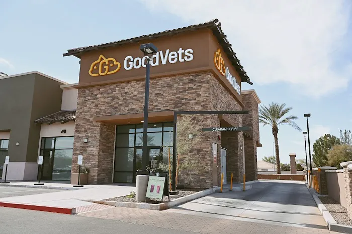 GoodVets Chandler Picture 9